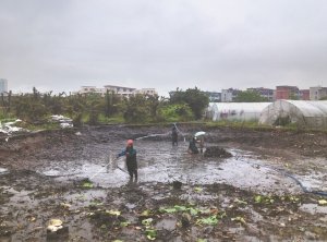 安福河道鱼塘清淤